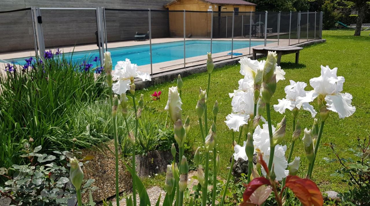 Gites De La Croisee Des Chemins - Piscine Chauffee - Spa, Hammam Et Sauna Izeaux Εξωτερικό φωτογραφία